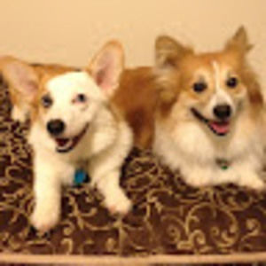 Meet your Posher, Cathryn